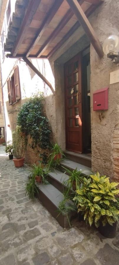 Il Vicoletto Villa Bolsena Bagian luar foto